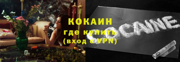 индика Горно-Алтайск