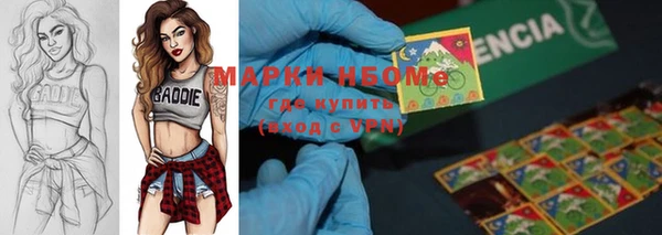 гидропоника Горняк