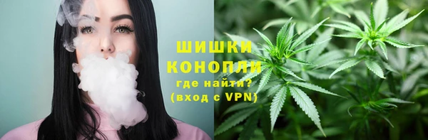 индика Горно-Алтайск