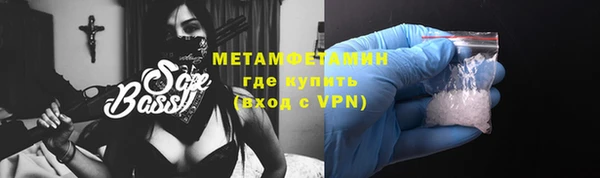индика Горно-Алтайск