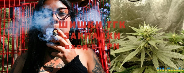 гидропоника Горняк