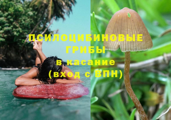 индика Горно-Алтайск