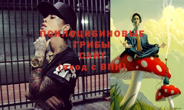 первитин Гусев