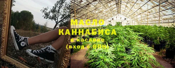 гидропоника Горняк