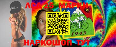 шишки Кандалакша