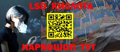 шишки Кандалакша