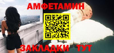 шишки Кандалакша