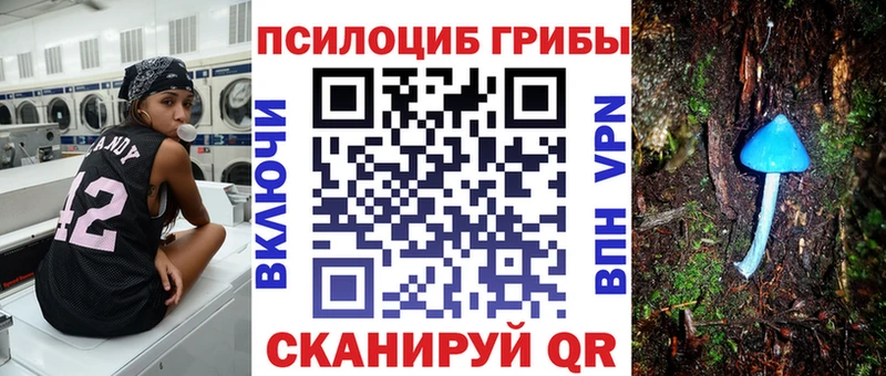 продажа наркотиков  гидра как войти  Галлюциногенные грибы ЛСД  Заволжье 