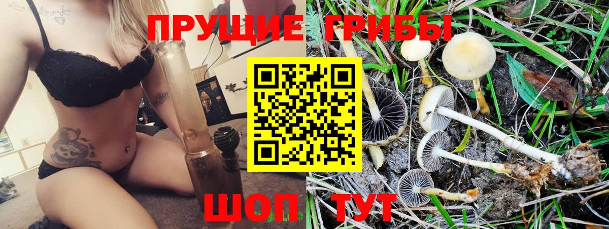 Псилоцибиновые грибы MAGIC MUSHROOMS Заволжье