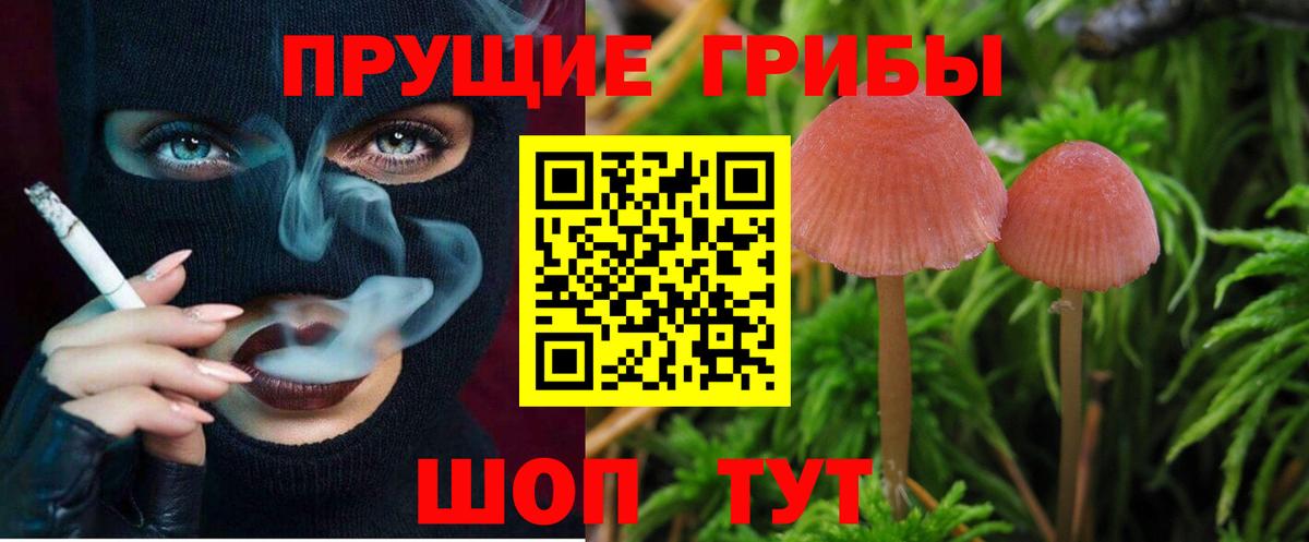 Псилоцибиновые грибы Cubensis  Вход с VPN  Заволжье 